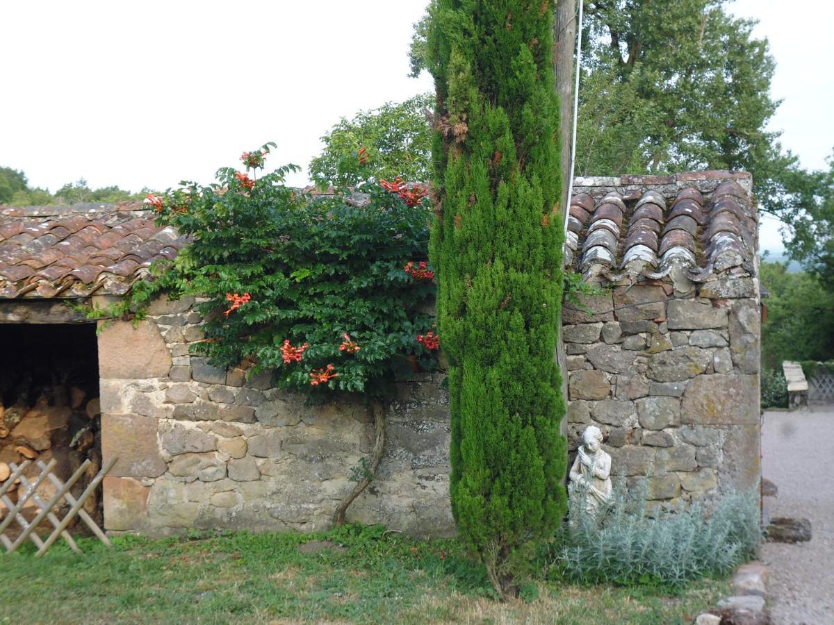 Bed and Breakfast La Fleur De Lys Roussayrolles Zewnętrze zdjęcie